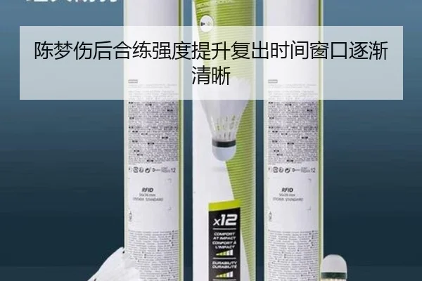陈梦伤后合练强度提升复出时间窗口逐渐清晰